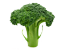 tag brokolica icon